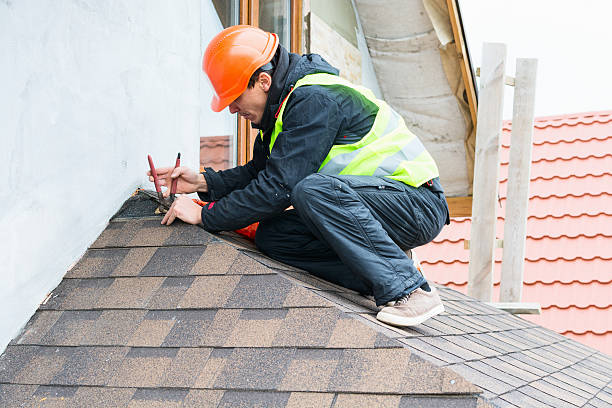 Best Roof Gutter Cleaning  in Adams, WI